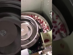 เครื่องบรรจุเม็ดชนิดตั้ง มีหลายฟังก์ชันสําหรับถั่วช็อคโกแลต มะเขือเทศ