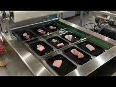 โซ่สูญญากาศ