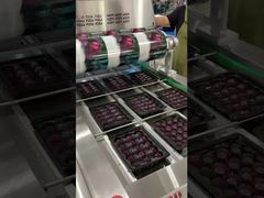 สายโซ่อากาศ