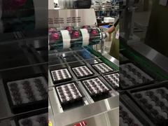 แอร์โฟลว์ เชน 2