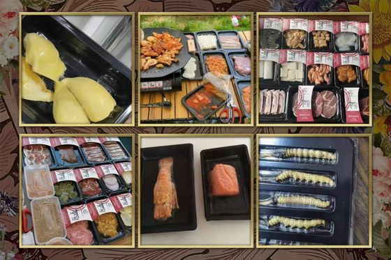 Fully Automatic Vertical Vacuum Skin Sealing Machine DQ305VSL with Food Grade Stainless Steel and 6061 Anodized Aluminum Mold for Food Containers